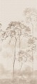 Tropical Forest 1