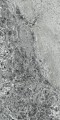 Crystal Dark Lucidato