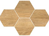 Carvallo Hexagon