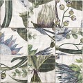 Decor Protea