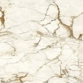 Calacatta Macchia Vecchia Lucidato